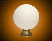 5 1/2 Inch Color Volleyball Resin