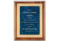 11 x 14 inch Walnut Plaque with Frost Gold Back Plate and Gold Embossed Frame