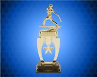 13" Baseball Snap Star Trophy