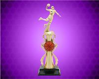 13" Male Basketball Color Sport Trophy