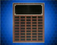 16 x 20 Inch Cherry Finish Perpetual Plaque (45 Plates)