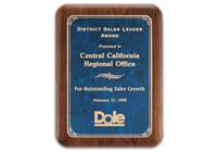 7 x 9 inch Walnut Stained Piano-Finish Plaque with Sapphire Marble  Center