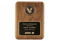 8 x 10 1/2 inch Plaque with Eagle Medallion