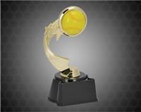 7" Softball Ribbon Star Trophy
